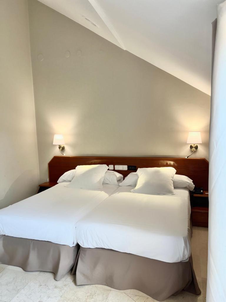 Hotel Olimpo Isla Plana Værelse billede
